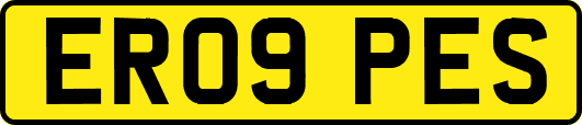 ER09PES