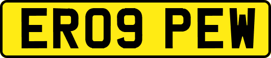 ER09PEW