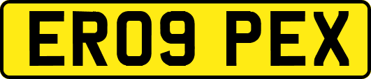 ER09PEX