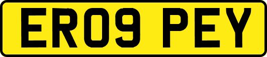 ER09PEY