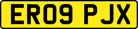 ER09PJX