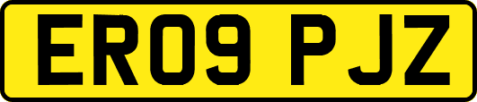 ER09PJZ