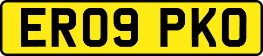 ER09PKO