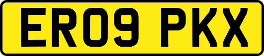 ER09PKX