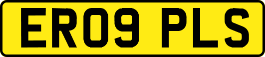 ER09PLS