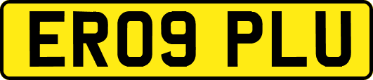 ER09PLU