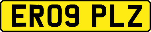 ER09PLZ