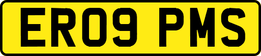 ER09PMS