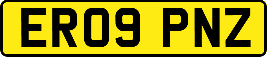 ER09PNZ