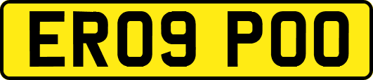 ER09POO