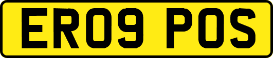 ER09POS