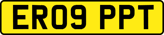 ER09PPT