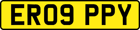 ER09PPY