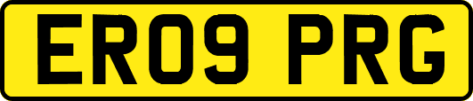 ER09PRG