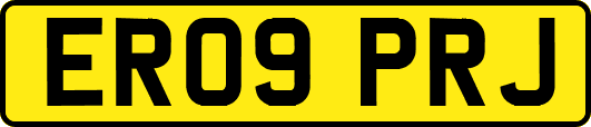 ER09PRJ