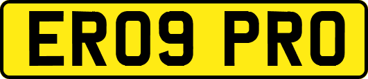 ER09PRO