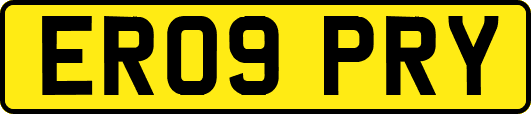 ER09PRY