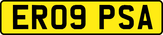 ER09PSA