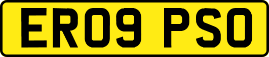 ER09PSO