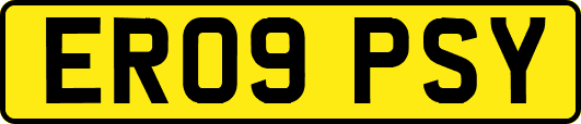 ER09PSY