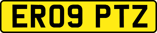 ER09PTZ