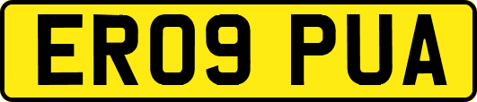 ER09PUA