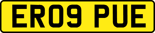 ER09PUE