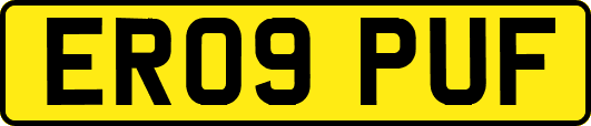 ER09PUF