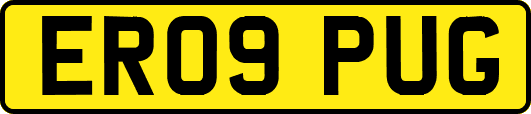ER09PUG