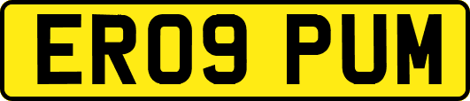 ER09PUM