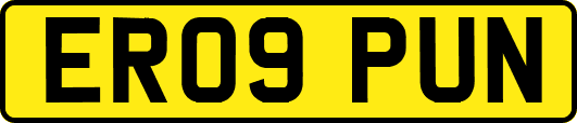ER09PUN