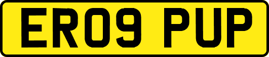 ER09PUP