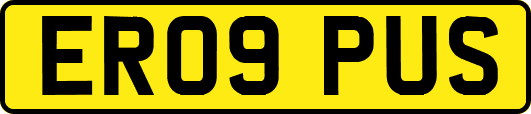 ER09PUS