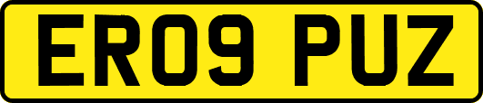 ER09PUZ