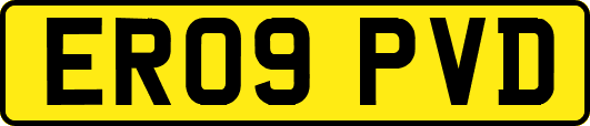 ER09PVD