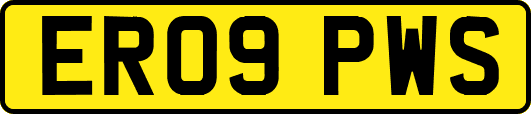 ER09PWS