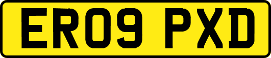ER09PXD