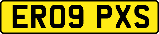 ER09PXS