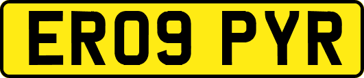 ER09PYR