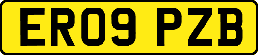 ER09PZB