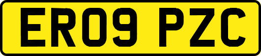 ER09PZC