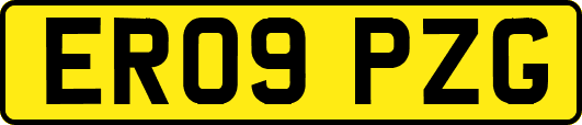 ER09PZG