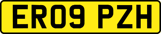 ER09PZH