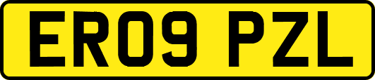 ER09PZL