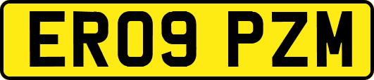 ER09PZM