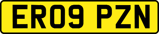 ER09PZN
