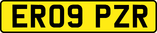 ER09PZR