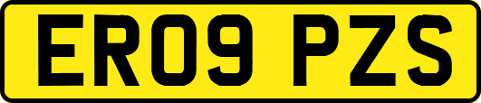 ER09PZS