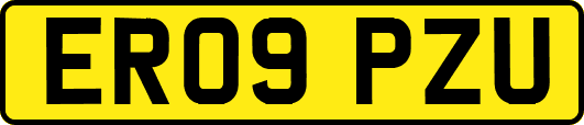 ER09PZU
