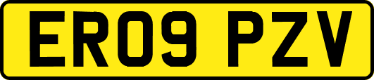 ER09PZV